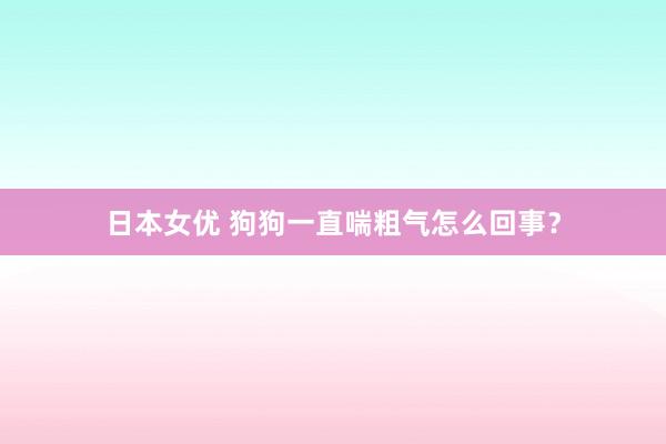 日本女优 狗狗一直喘粗气怎么回事？