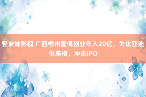 骚波妹影视 广西柳州配偶创业年入20亿，为比亚迪供座椅，冲击IPO