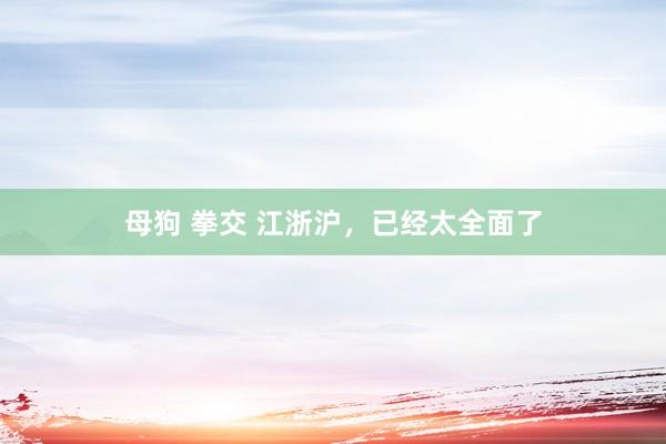 母狗 拳交 江浙沪，已经太全面了