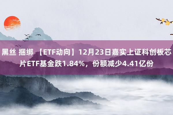 黑丝 捆绑 【ETF动向】12月23日嘉实上证科创板芯片ETF基金跌1.84%，份额减少4.41亿份