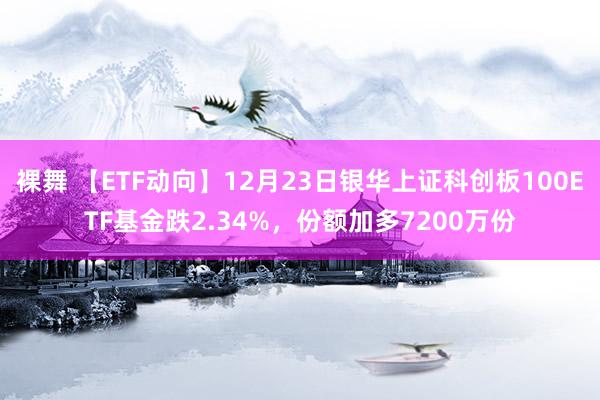 裸舞 【ETF动向】12月23日银华上证科创板100ETF基金跌2.34%，份额加多7200万份