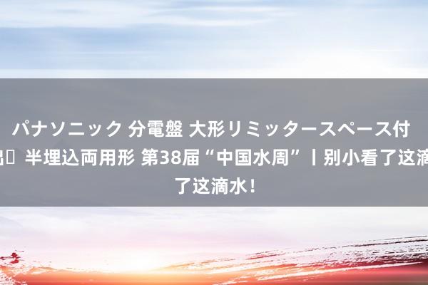 パナソニック 分電盤 大形リミッタースペース付 露出・半埋込両用形 第38届“中国水周”丨别小看了这滴水！