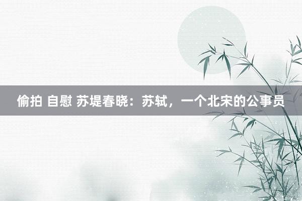 偷拍 自慰 苏堤春晓：苏轼，一个北宋的公事员