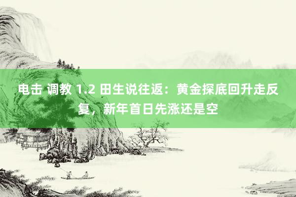 电击 调教 1.2 田生说往返：黄金探底回升走反复，新年首日先涨还是空