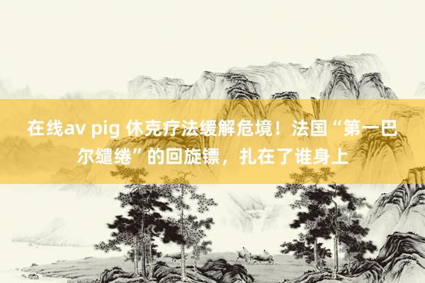 在线av pig 休克疗法缓解危境！法国“第一巴尔缱绻”的回旋镖，扎在了谁身上