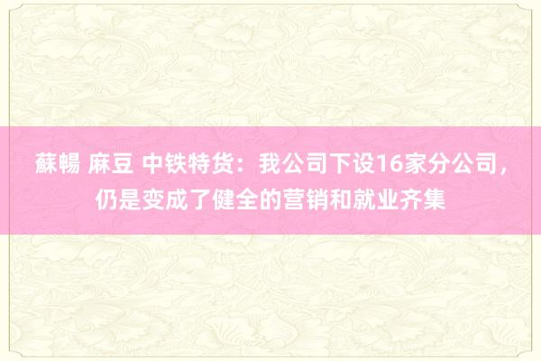 蘇暢 麻豆 中铁特货：我公司下设16家分公司，仍是变成了健全的营销和就业齐集