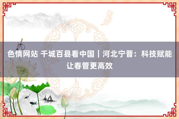 色情网站 千城百县看中国｜河北宁晋：科技赋能让春管更高效