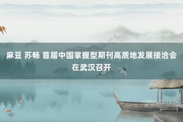 麻豆 苏畅 首届中国掌握型期刊高质地发展接洽会在武汉召开