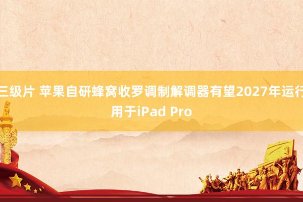 三级片 苹果自研蜂窝收罗调制解调器有望2027年运行用于iPad Pro