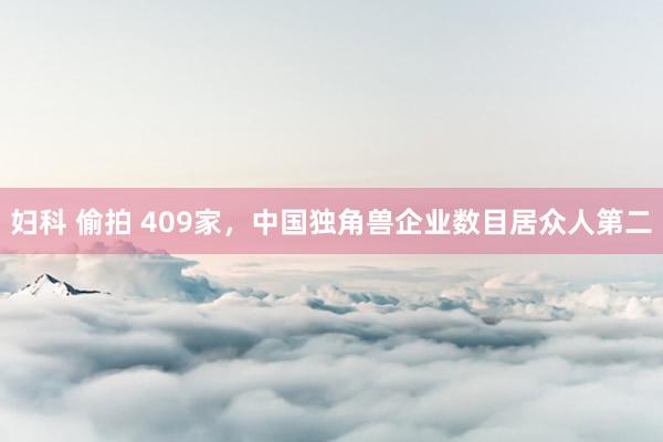 妇科 偷拍 409家，中国独角兽企业数目居众人第二