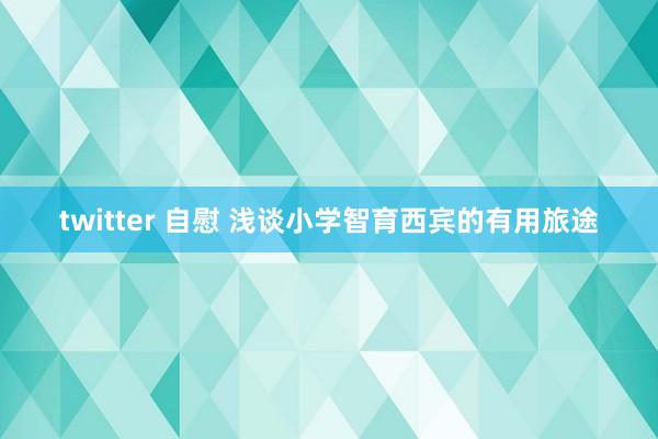 twitter 自慰 浅谈小学智育西宾的有用旅途