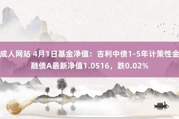 成人网站 4月1日基金净值：吉利中债1-5年计策性金融债A最新净值1.0516，跌0.02%