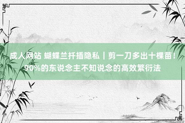 成人网站 蝴蝶兰扦插隐私｜剪一刀多出十棵苗！90%的东说念主不知说念的高效繁衍法