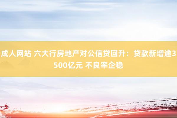 成人网站 六大行房地产对公信贷回升：贷款新增逾3500亿元 不良率企稳