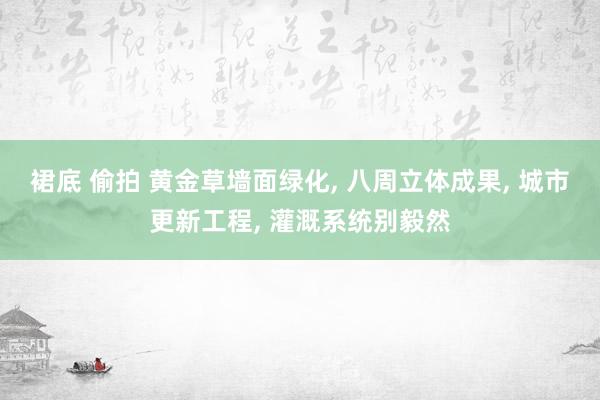 裙底 偷拍 黄金草墙面绿化， 八周立体成果， 城市更新工程， 灌溉系统别毅然