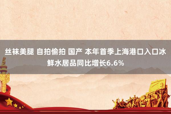 丝袜美腿 自拍偷拍 国产 本年首季上海港口入口冰鲜水居品同比增长6.6%