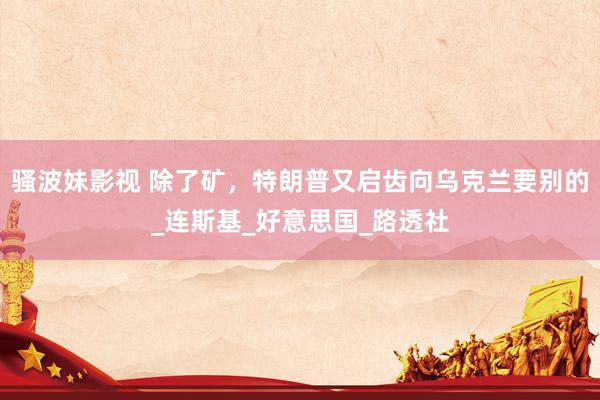 骚波妹影视 除了矿，特朗普又启齿向乌克兰要别的_连斯基_好意思国_路透社