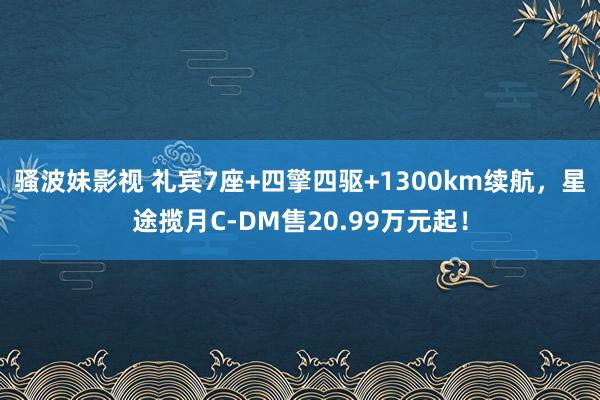 骚波妹影视 礼宾7座+四擎四驱+1300km续航，星途揽月C-DM售20.99万元起！