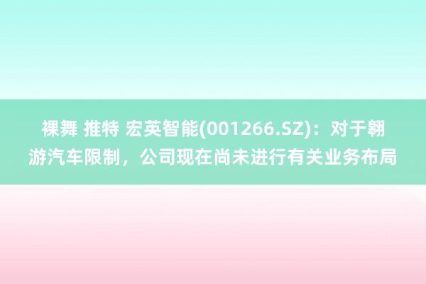 裸舞 推特 宏英智能(001266.SZ)：对于翱游汽车限制，公司现在尚未进行有关业务布局