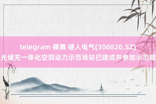 telegram 裸舞 硬人电气(300820.SZ)：光储充一体化空洞动力示范场站已建成并参加示范驱动