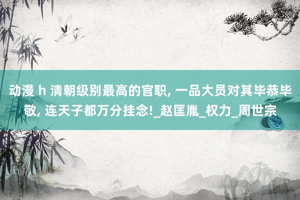动漫 h 清朝级别最高的官职， 一品大员对其毕恭毕敬， 连天子都万分挂念!_赵匡胤_权力_周世宗