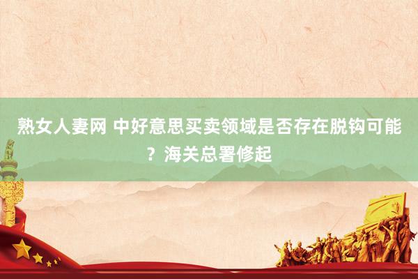 熟女人妻网 中好意思买卖领域是否存在脱钩可能？海关总署修起