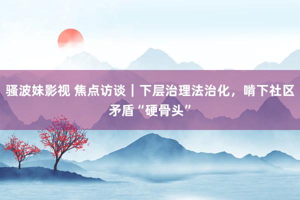 骚波妹影视 焦点访谈｜下层治理法治化，啃下社区矛盾“硬骨头”