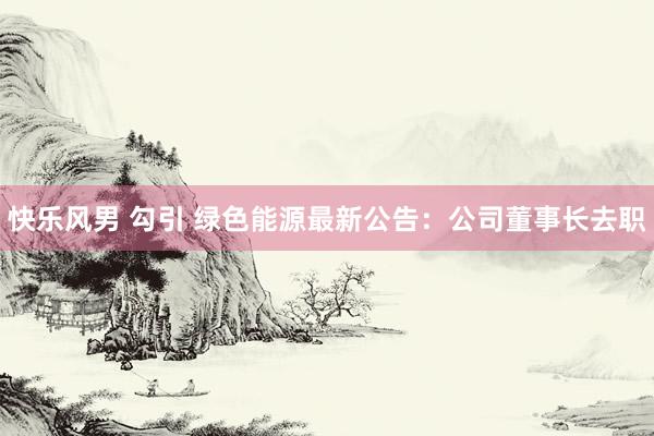 快乐风男 勾引 绿色能源最新公告：公司董事长去职