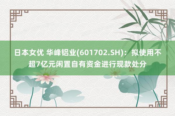 日本女优 华峰铝业(601702.SH)：拟使用不超7亿元闲置自有资金进行现款处分