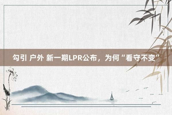 勾引 户外 新一期LPR公布，为何“看守不变”