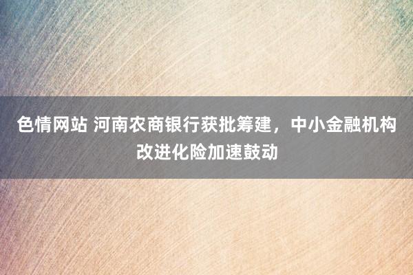 色情网站 河南农商银行获批筹建，中小金融机构改进化险加速鼓动