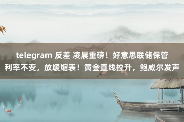 telegram 反差 凌晨重磅！好意思联储保管利率不变，放缓缩表！黄金直线拉升，鲍威尔发声