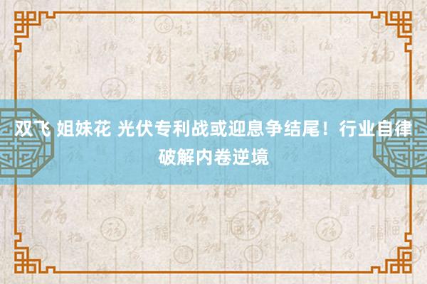 双飞 姐妹花 光伏专利战或迎息争结尾！行业自律破解内卷逆境