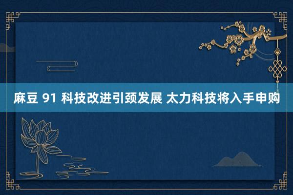 麻豆 91 科技改进引颈发展 太力科技将入手申购