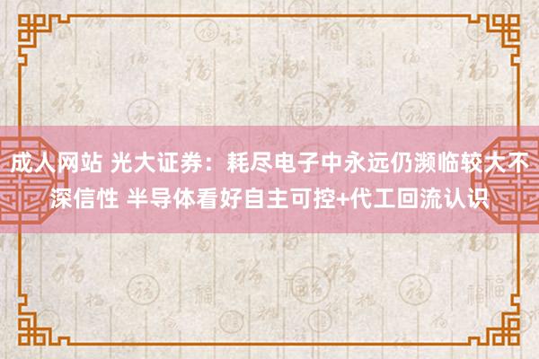 成人网站 光大证券：耗尽电子中永远仍濒临较大不深信性 半导体看好自主可控+代工回流认识