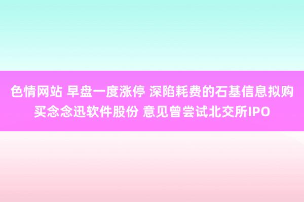 色情网站 早盘一度涨停 深陷耗费的石基信息拟购买念念迅软件股份 意见曾尝试北交所IPO