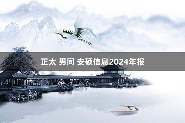 正太 男同 安硕信息2024年报
