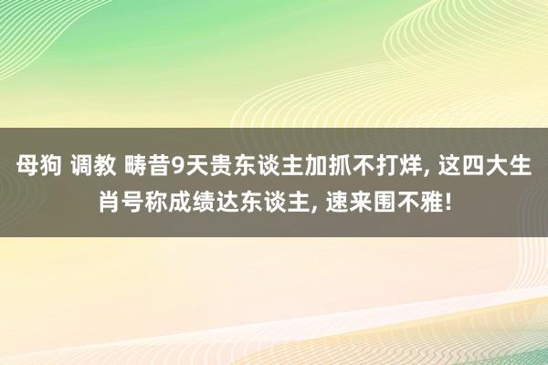 母狗 调教 畴昔9天贵东谈主加抓不打烊, 这四大生肖号称成绩达东谈主, 速来围不雅!