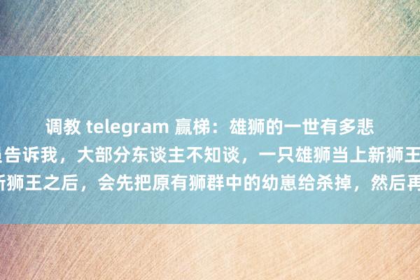 调教 telegram 赢梯:雄狮的一世有多悲剧?一位50多岁的护林员告诉我,大部分东谈主不知谈,一只雄狮当上新狮王之后,会先把原有狮群中的幼崽给杀掉,然后再与狮群中的母狮交配。